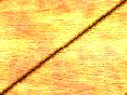 xm007862.gif