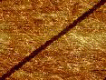 xm007861.gif