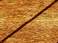 xm007859.gif