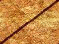 xm007858.gif