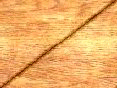 xm007857.gif