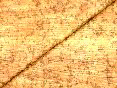 xm007856.gif