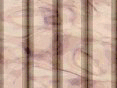 xm007845.gif