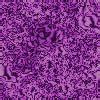xm007807.gif