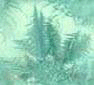 xm008726.gif