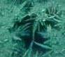 xm008725.gif