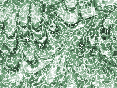 xm008685.gif