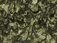 xm008681.gif