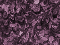 xm008678.gif