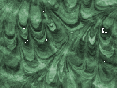 xm008673.gif