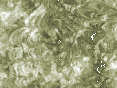xm008668.gif