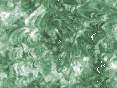 xm008667.gif
