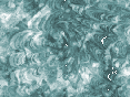 xm008666.gif