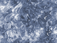 xm008665.gif