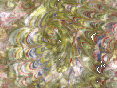xm008663.gif