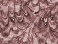 xm008655.gif