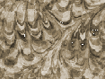 xm008654.gif