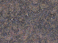 xm008652.gif