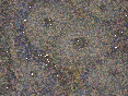 xm008651.gif