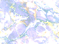 xm008648.gif