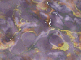 xm008647.gif