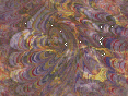 xm008638.gif