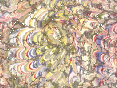 xm008634.gif