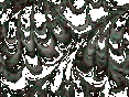 xm008626.gif