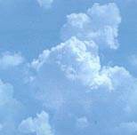 xm008619.gif