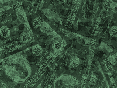 xm008615.gif