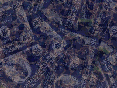 xm008614.gif