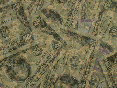 xm008605.gif