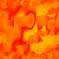 xm008574.gif