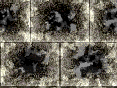 xm008573.gif