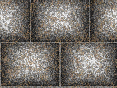 xm008571.gif