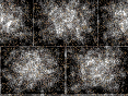 xm008570.gif