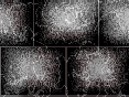 xm008569.gif