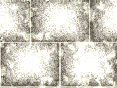 xm008566.gif