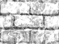 xm008560.gif