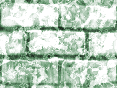 xm008557.gif