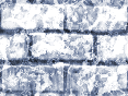 xm008556.gif