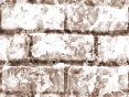 xm008555.gif