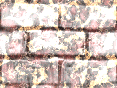 xm008554.gif