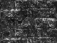 xm008553.gif