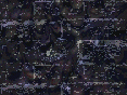xm008551.gif