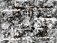 xm008549.gif