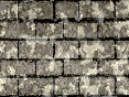 xm008545.gif
