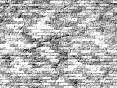 xm008542.gif