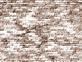 xm008541.gif