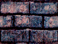 xm008539.gif